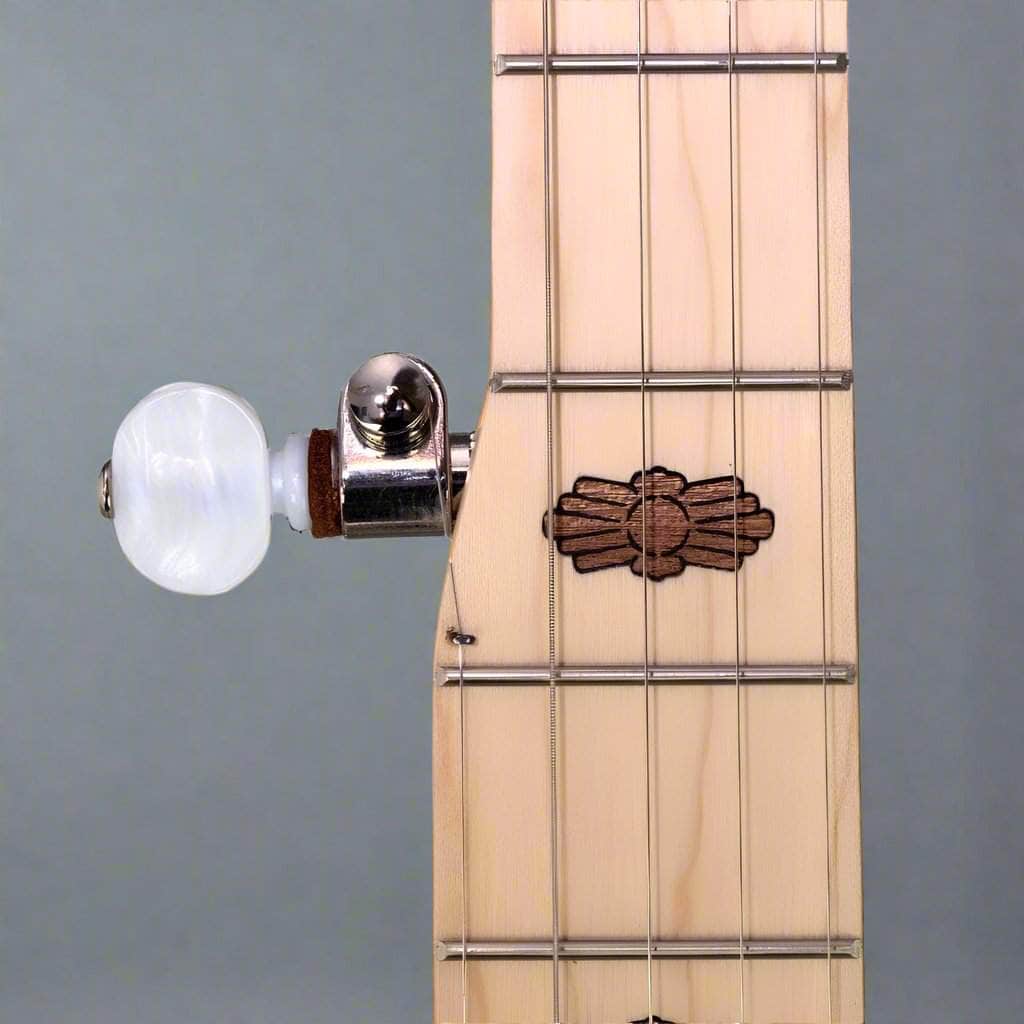 Deering Goodtime Two Banjo - Best Beginner Bluegrass Banjo Deering 5 String Banjos