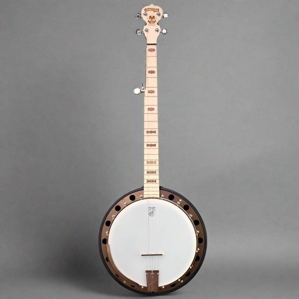 Deering Goodtime Two Banjo - Best Beginner Bluegrass Banjo Deering 5 String Banjos
