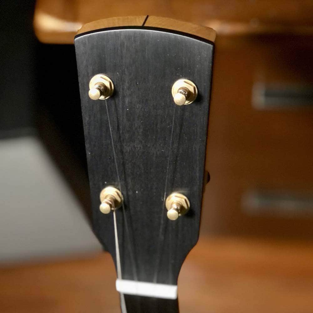 Rickard Dobson 12" 5 String Banjo with Goat Skin Head Rickard 5 String Banjos