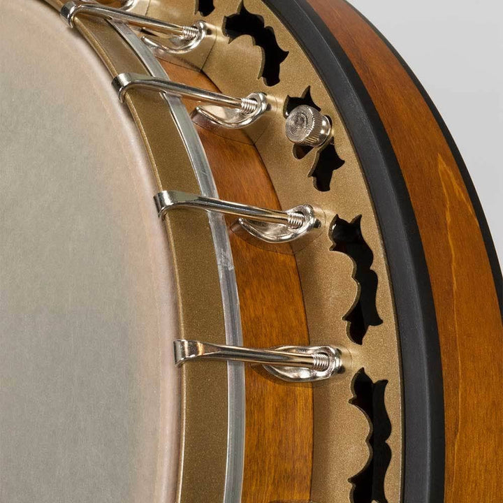 Deering Phoenix Acoustic/Electric 6-String Banjo Deering 6 String Banjos Default