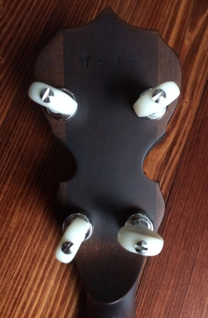 Deering Sierra Maple 19-Fret Tenor Banjo with Tubaphone Tone Ring Deering 4 String Banjos