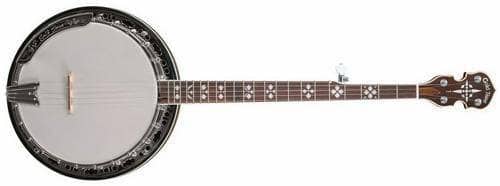 Gold Tone BG-150F Gold Tone 5 String Banjos