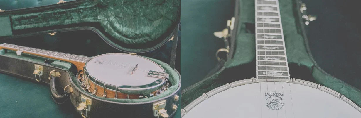 Cases, Gig Bags, & Stands