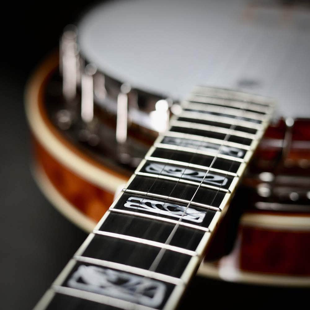 5-String Resonator Banjos