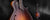 Collings Mandolins For Sale
