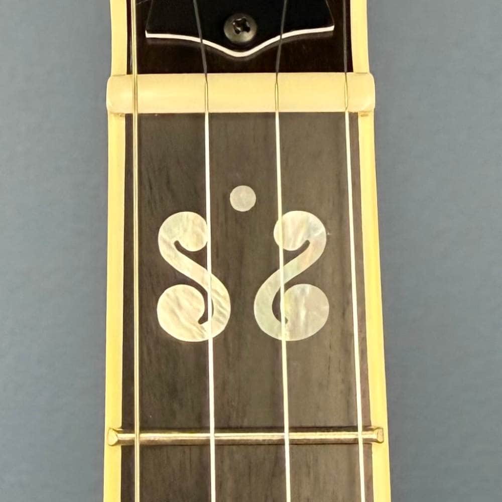 Custom Deering Calico Radius Fretboard 5-String Banjo