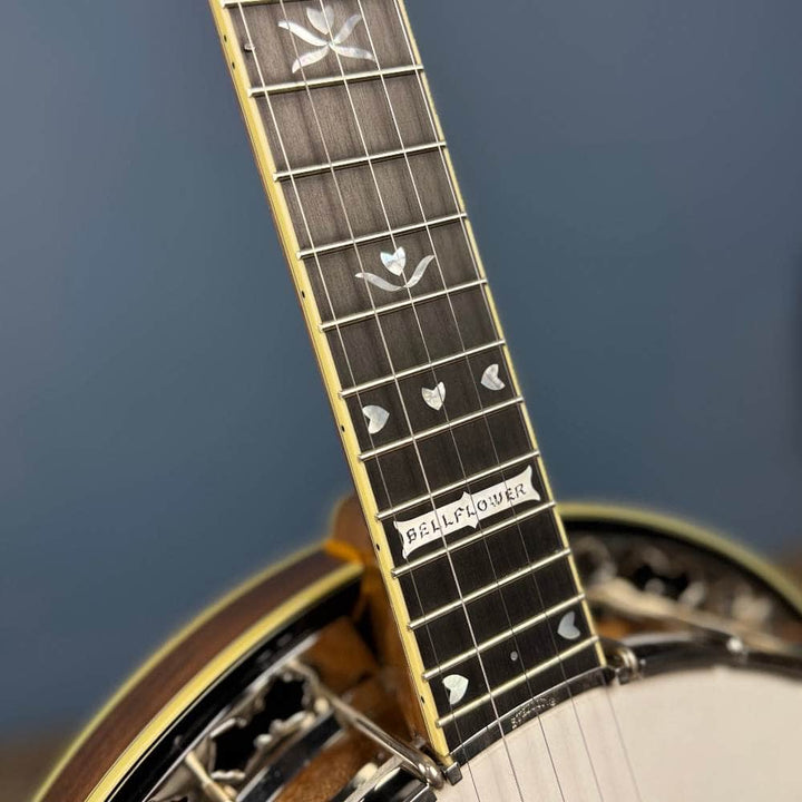 2008 Stelling Bellflower 5-String Banjo Walnut, Used Stelling 5 String Banjos