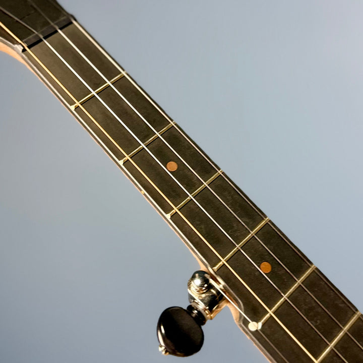 Pisgah Walnut Rambler Dobson 5-String Banjo with 12"