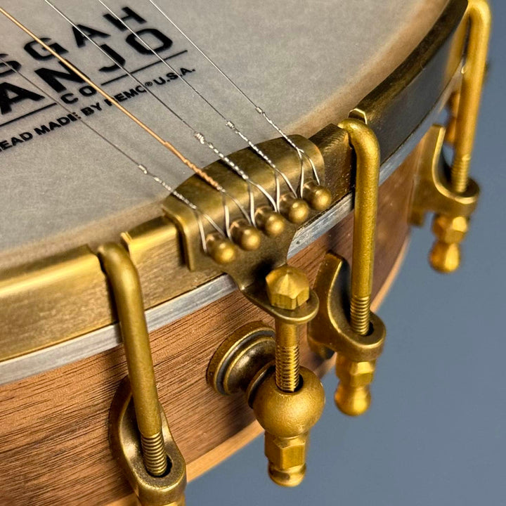 Pisgah Possum 11" 5-String Banjo with Persimmon Tone Ring Walnut Rim and Neck, Persimmon Fretboard