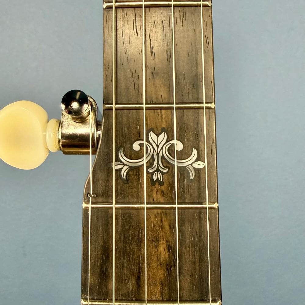 Custom Deering Sierra Maple 5-String Banjo - Linseed Oil Finish, Radius Fingerboard and Honey Amber Stain