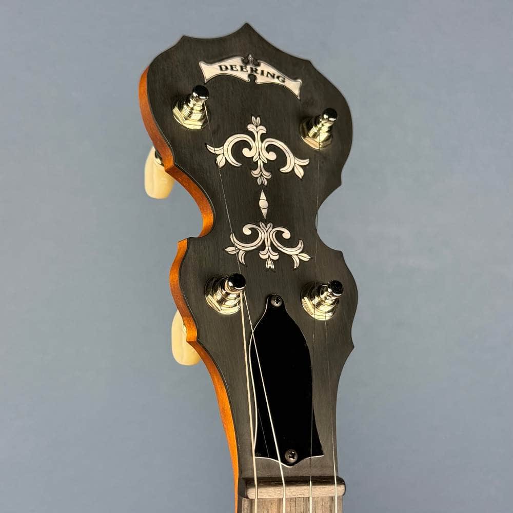 Custom Deering Sierra Maple 5-String Banjo - Linseed Oil Finish, Radius Fingerboard and Honey Amber Stain