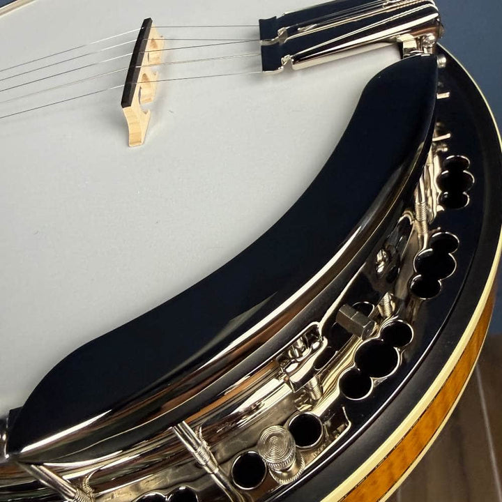 Custom Deering Calico Radius Fretboard 5-String Banjo
