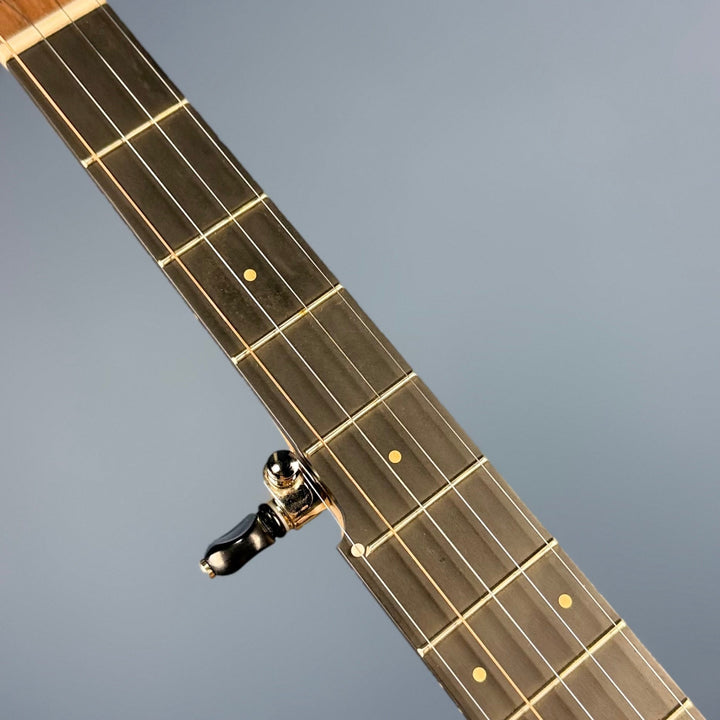 Pisgah Roscoe 5-String Banjo