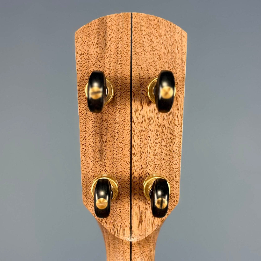 Pisgah Possum 11" 5-String Banjo with Persimmon Tone Ring Walnut Rim and Neck, Persimmon Fretboard