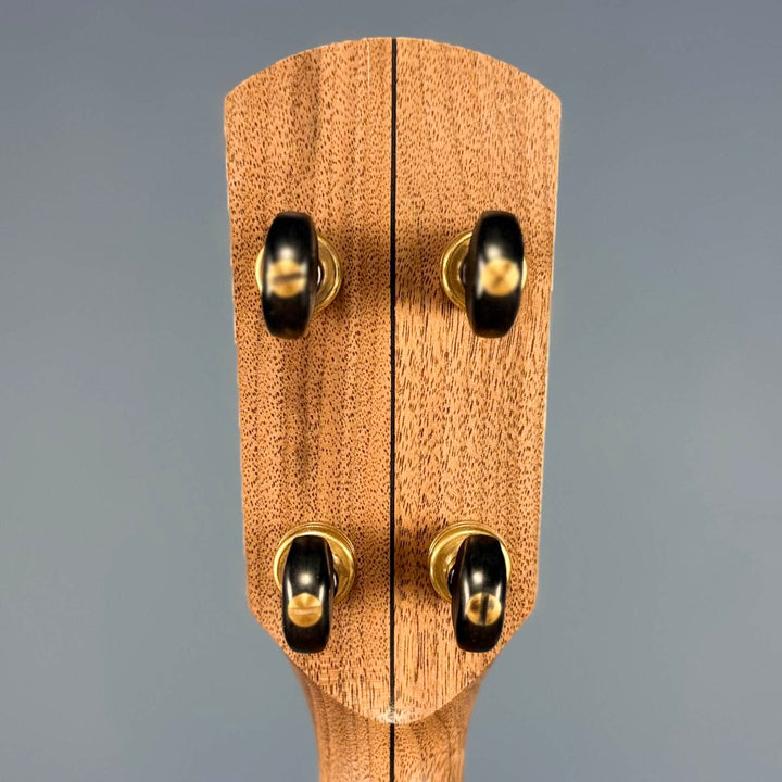 Pisgah Possum 11" 5-String Banjo with Persimmon Tone Ring Walnut Rim and Neck, Persimmon Fretboard