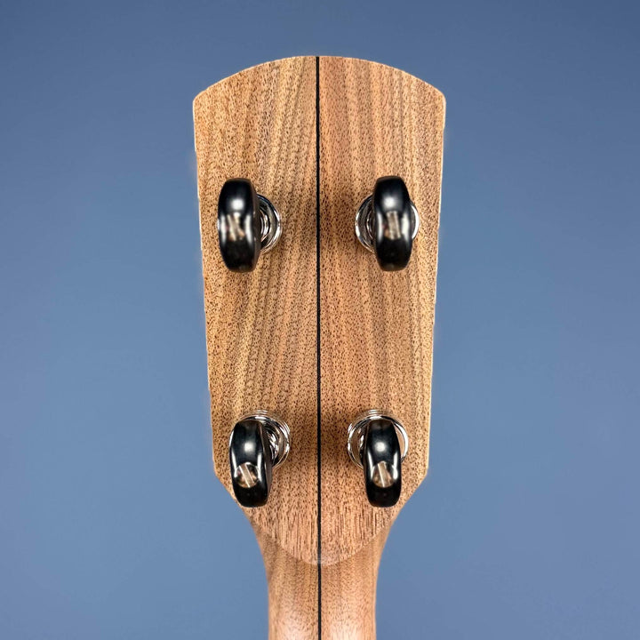 Pisgah Walnut Rambler Dobson 5-String Banjo with 12"