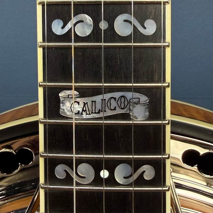Custom Deering Calico Radius Fretboard 5-String Banjo