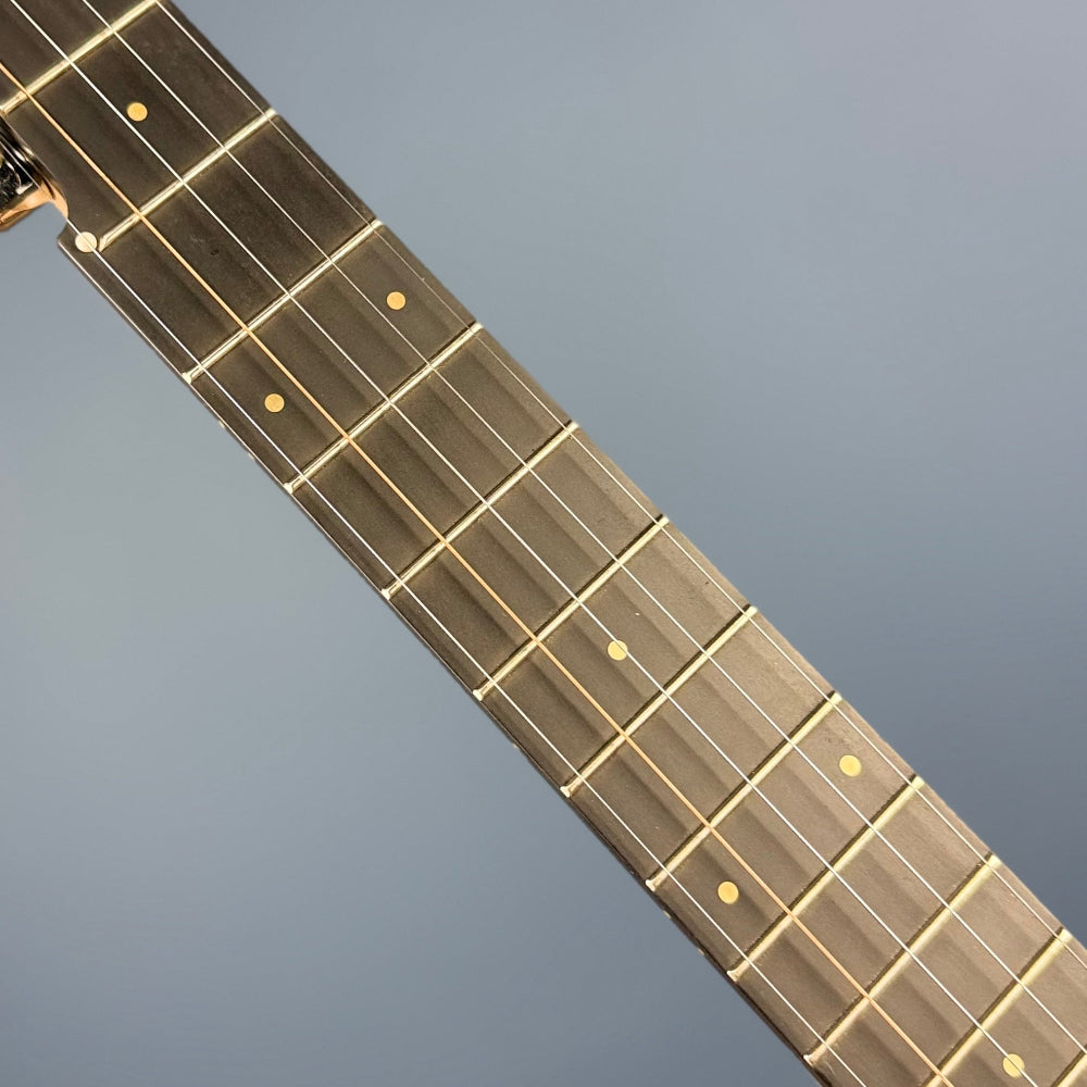 Pisgah Roscoe 5-String Banjo
