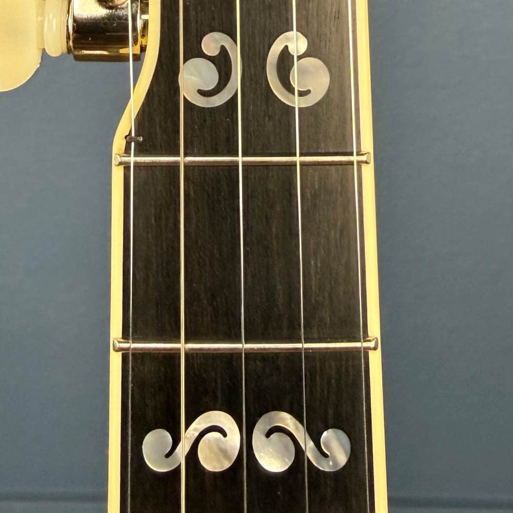 Custom Deering Calico Radius Fretboard 5-String Banjo