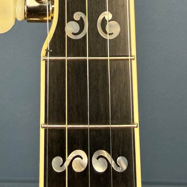 Custom Deering Calico Radius Fretboard 5-String Banjo