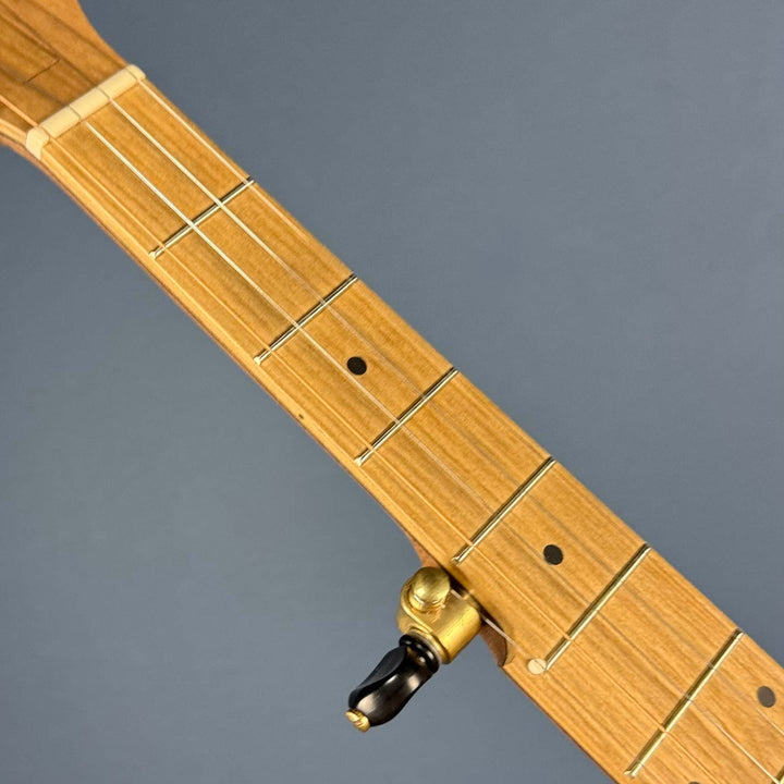 Pisgah Possum 11" 5-String Banjo with Persimmon Tone Ring Walnut Rim and Neck, Persimmon Fretboard