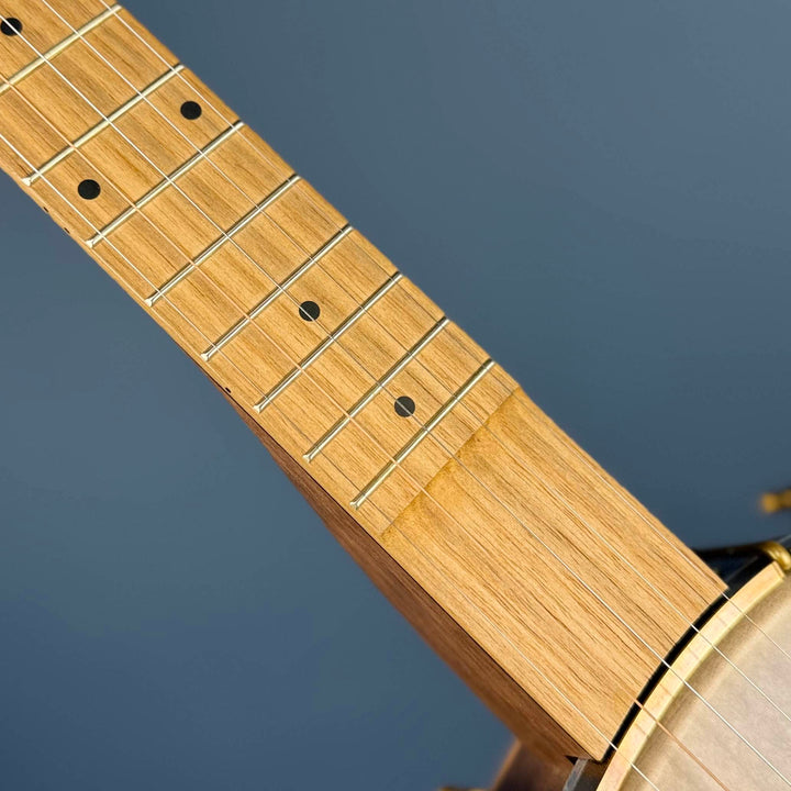 Pisgah Possum 11" 5-String Banjo with Persimmon Tone Ring Walnut Rim and Neck, Persimmon Fretboard