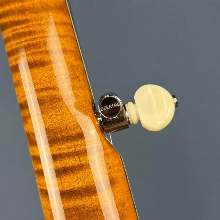 Custom Deering Calico Radius Fretboard 5-String Banjo