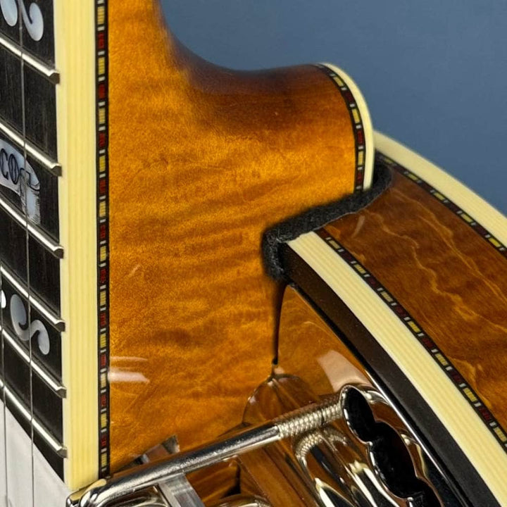 Custom Deering Calico Radius Fretboard 5-String Banjo