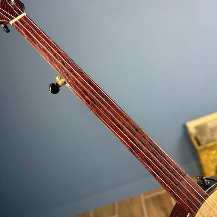 Brooks Banjo 10L Fretless 12" Openback Brooks 5 String Banjos
