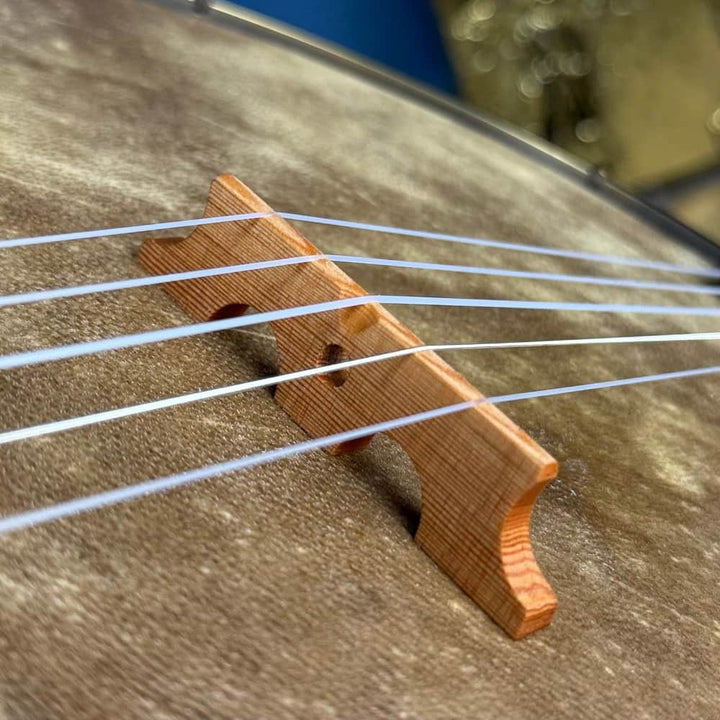 Brooks Banjo 10L Fretless 12" Openback Brooks 5 String Banjos