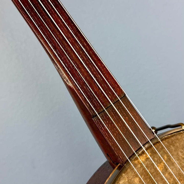Brooks Banjo 10L Fretless Nylon 12" Openback with Hardshell Case #523 Brooks 5 String Banjos