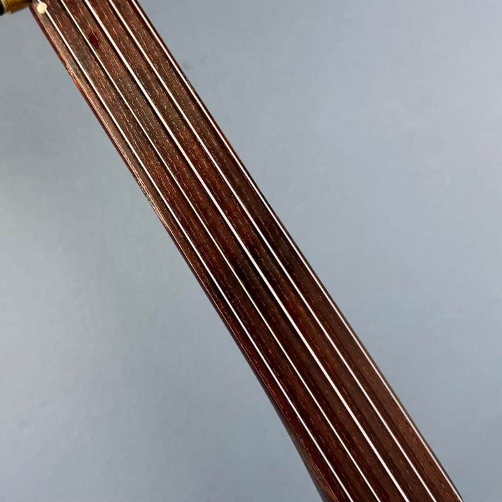 Brooks Banjo 10L Fretless Nylon 12" Openback with Hardshell Case #523 Brooks 5 String Banjos