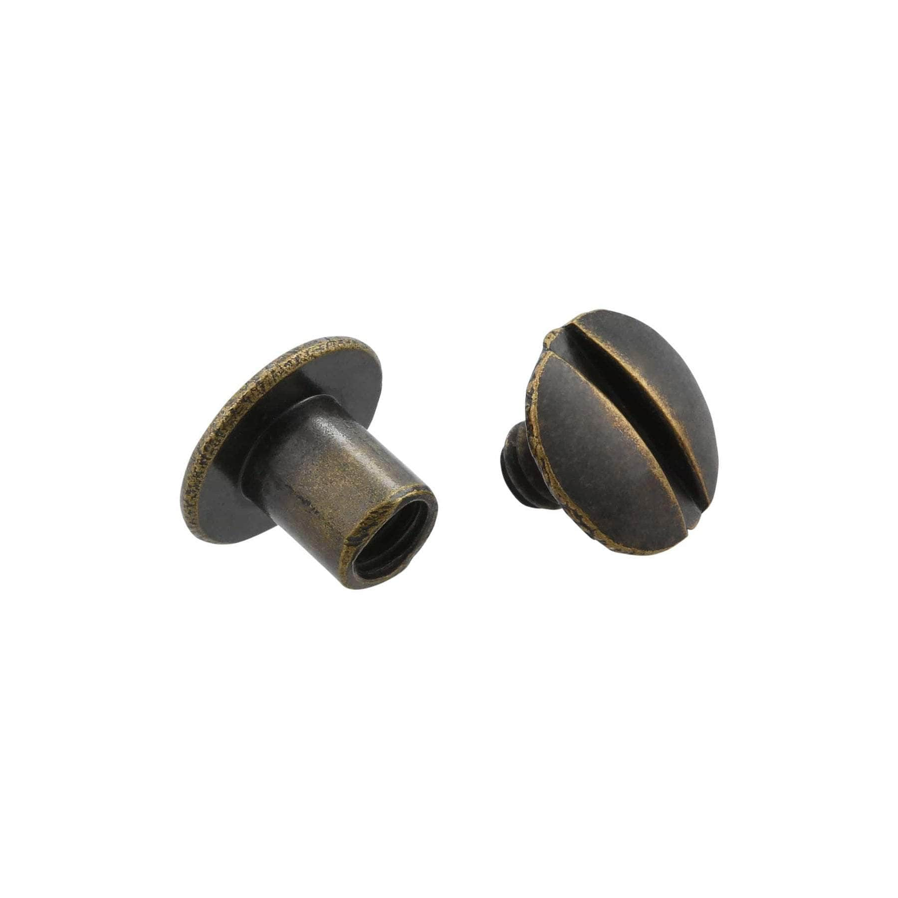 Chicago Screws For Banjo Strap Attachment – Banjo Studio