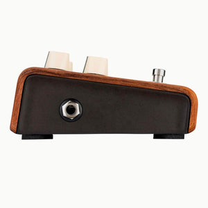 Copy of LR Baggs Align Reverb Acoustic Reverb Pedal - FLOOR MODEL LR Baggs Guitar Accessories