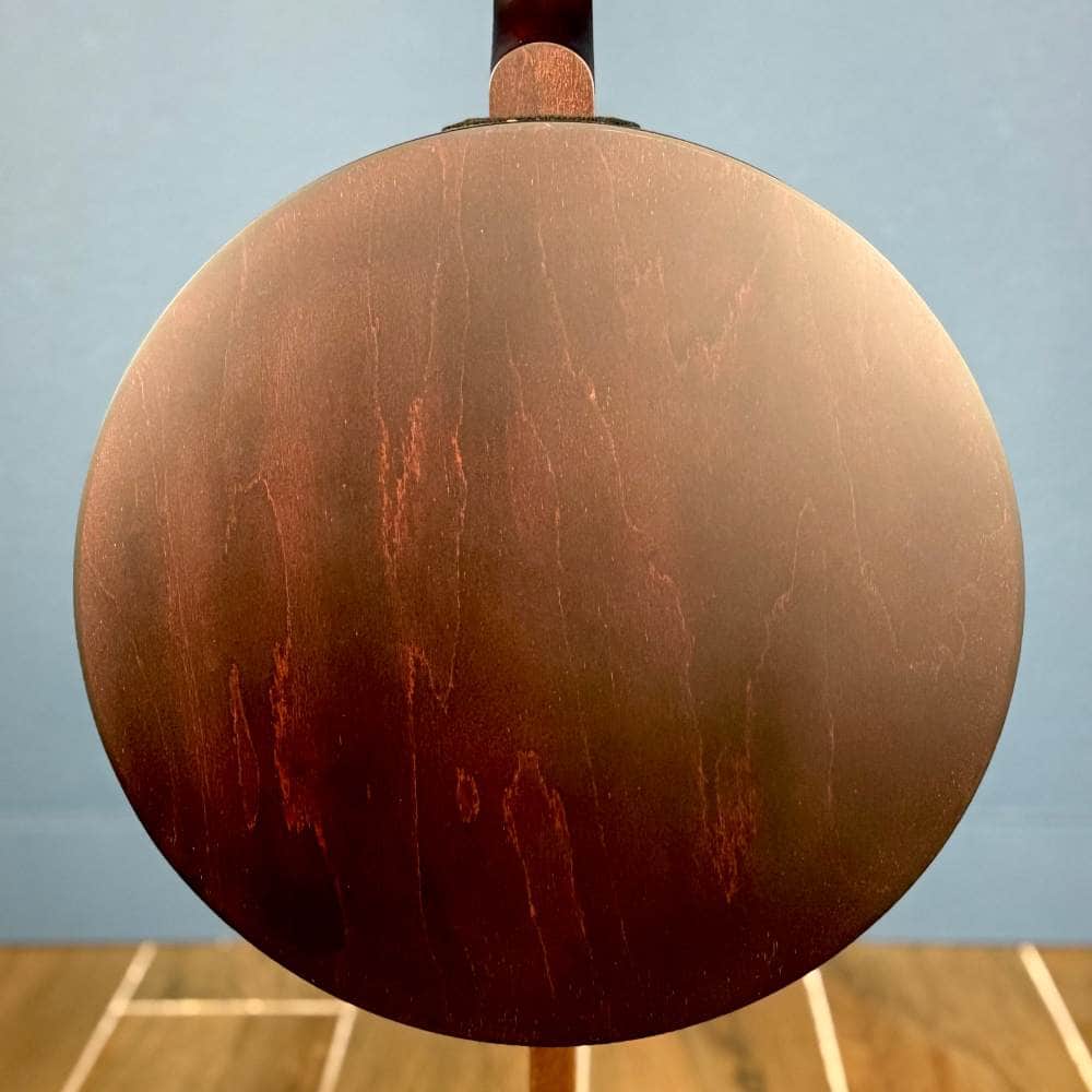 Custom Artisan Goodtime Special 19-Fret Tenor Banjo with Fiberskin Head and Bronze Hardware Deering 4 String Banjos