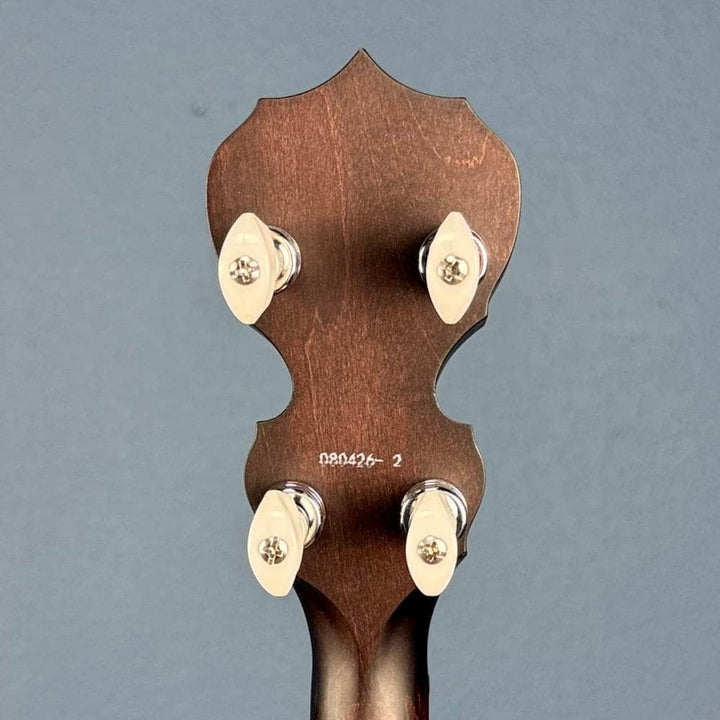 Custom Artisan Goodtime Special 19-Fret Tenor Banjo with Fiberskin Head and Bronze Hardware Deering 4 String Banjos