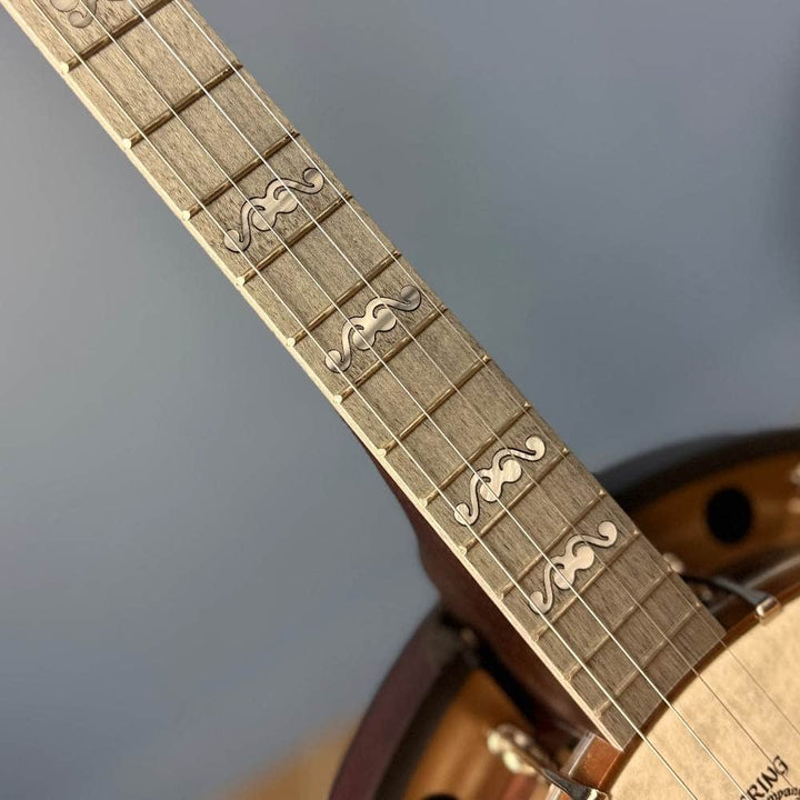 Custom Artisan Goodtime Special 19-Fret Tenor Banjo with Fiberskin Head and Bronze Hardware Deering 4 String Banjos