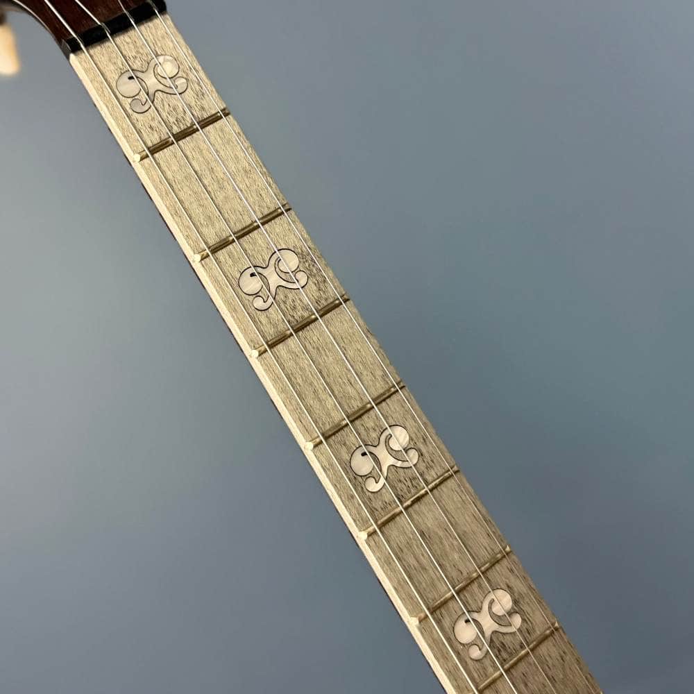 Custom Artisan Goodtime Special 19-Fret Tenor Banjo with Fiberskin Head and Bronze Hardware Deering 4 String Banjos