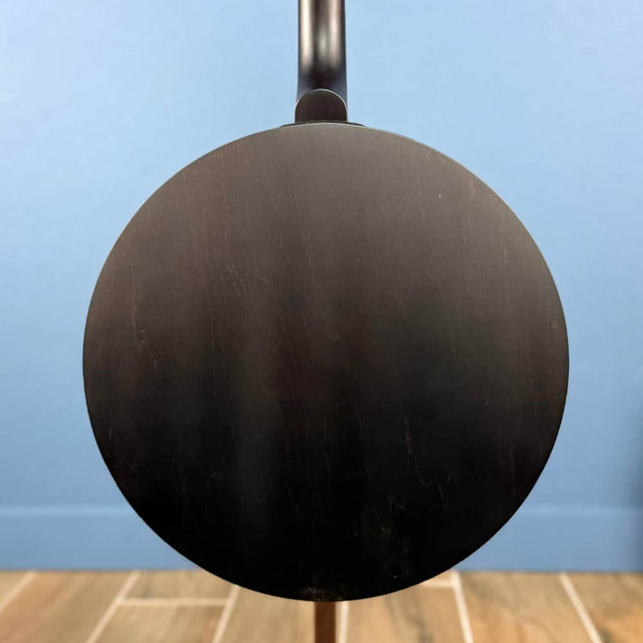 Custom Artisan Goodtime Two 19-Fret Tenor Banjo with Fiberskin Head and Bronze Hardware Deering 4 String Banjos