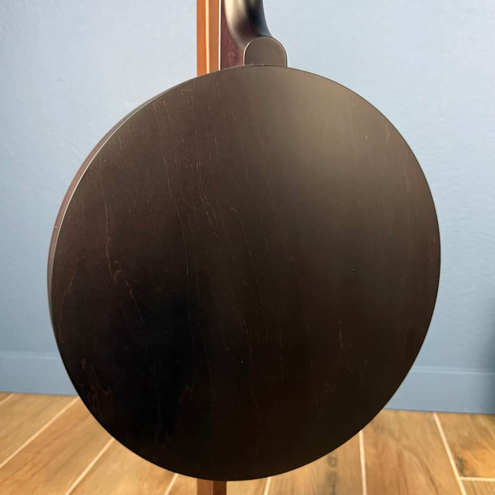 Custom Artisan Goodtime Two 19-Fret Tenor Banjo with Fiberskin Head and Bronze Hardware Deering 4 String Banjos