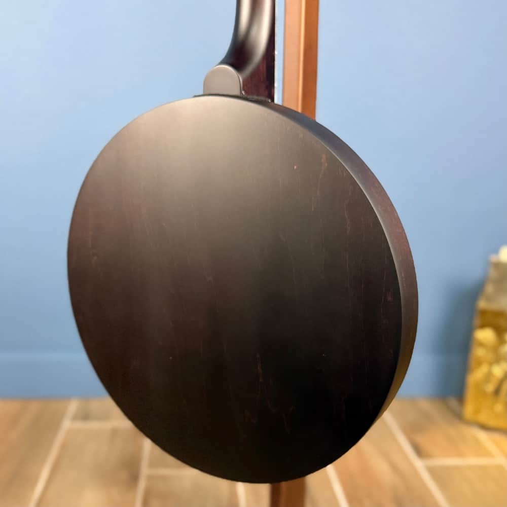 Custom Artisan Goodtime Two 19-Fret Tenor Banjo with Fiberskin Head and Bronze Hardware Deering 4 String Banjos