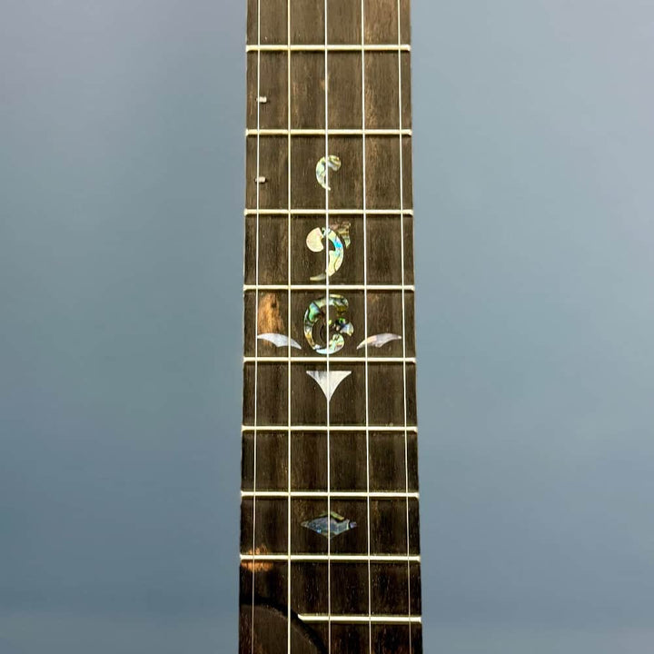 Custom Bird's Eye Maple Ome Juniper 5 String Openback Banjo Ome Banjos 5 String Banjos