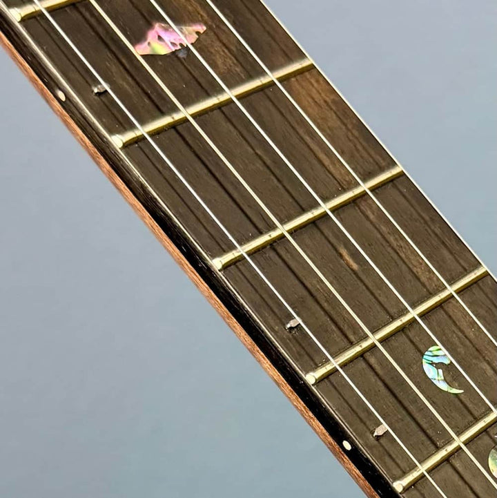 Custom Bird's Eye Maple Ome Juniper 5 String Openback Banjo Ome Banjos 5 String Banjos