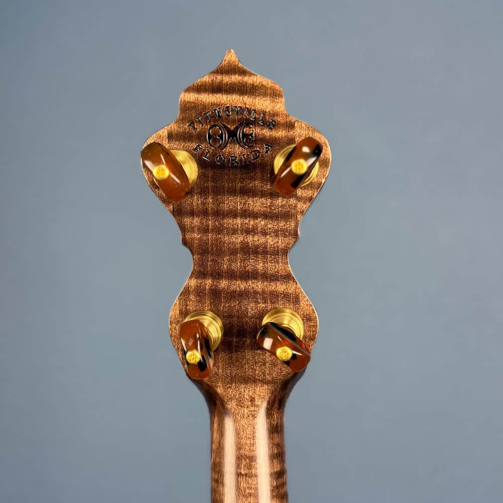 Custom Bird's Eye Maple Ome Juniper 5 String Openback Banjo Ome Banjos 5 String Banjos