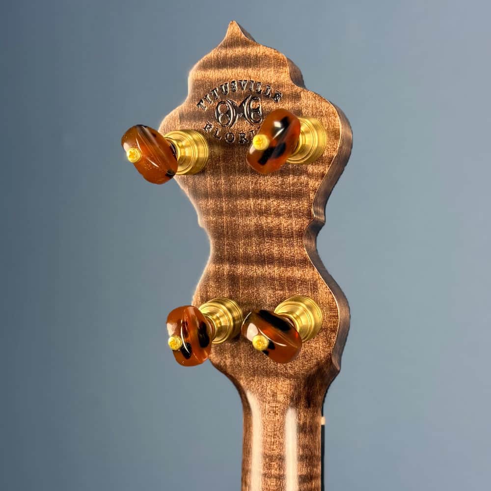 Custom Bird's Eye Maple Ome Juniper 5 String Openback Banjo Ome Banjos 5 String Banjos