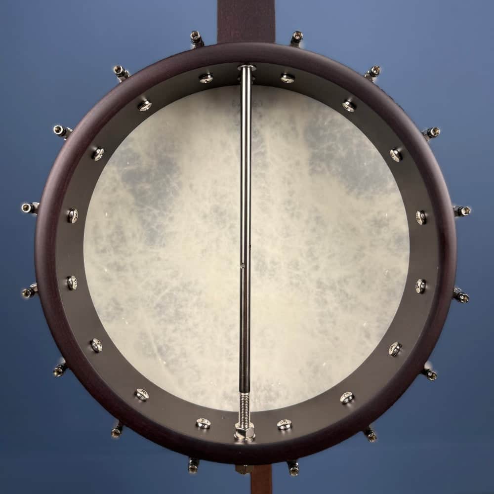 Custom Deering Artisan Goodtime 17-Fret Tenor Banjo with Fiberskin Head and Bronze Hardware Deering 4 String Banjos