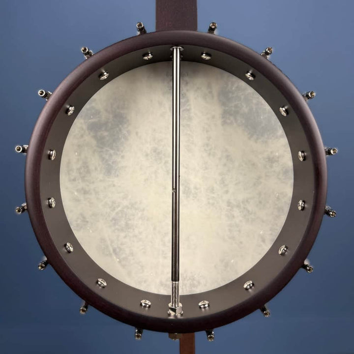 Custom Deering Artisan Goodtime 17-Fret Tenor Banjo with Fiberskin Head and Bronze Hardware Deering 4 String Banjos