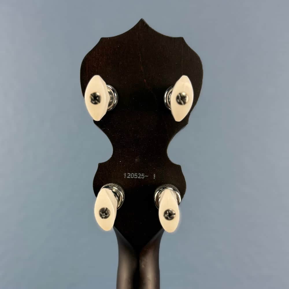 Custom Deering Artisan Goodtime 17-Fret Tenor Banjo with Fiberskin Head and Bronze Hardware Deering 4 String Banjos