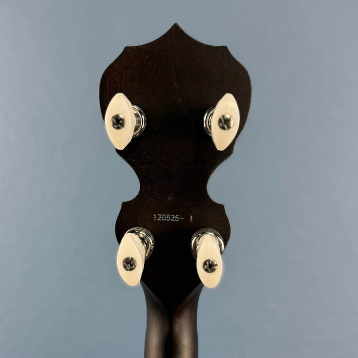 Custom Deering Artisan Goodtime 17-Fret Tenor Banjo with Fiberskin Head and Bronze Hardware Deering 4 String Banjos