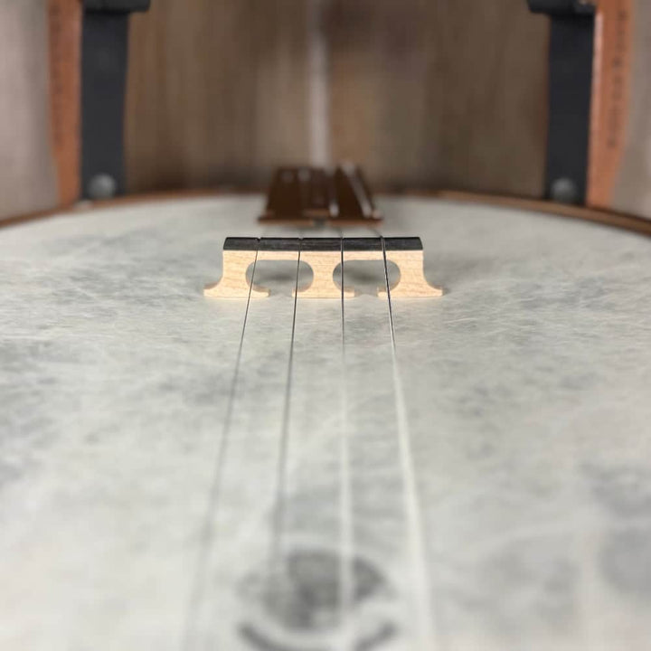 Custom Deering Artisan Goodtime 17-Fret Tenor Banjo with Fiberskin Head and Bronze Hardware Deering 4 String Banjos